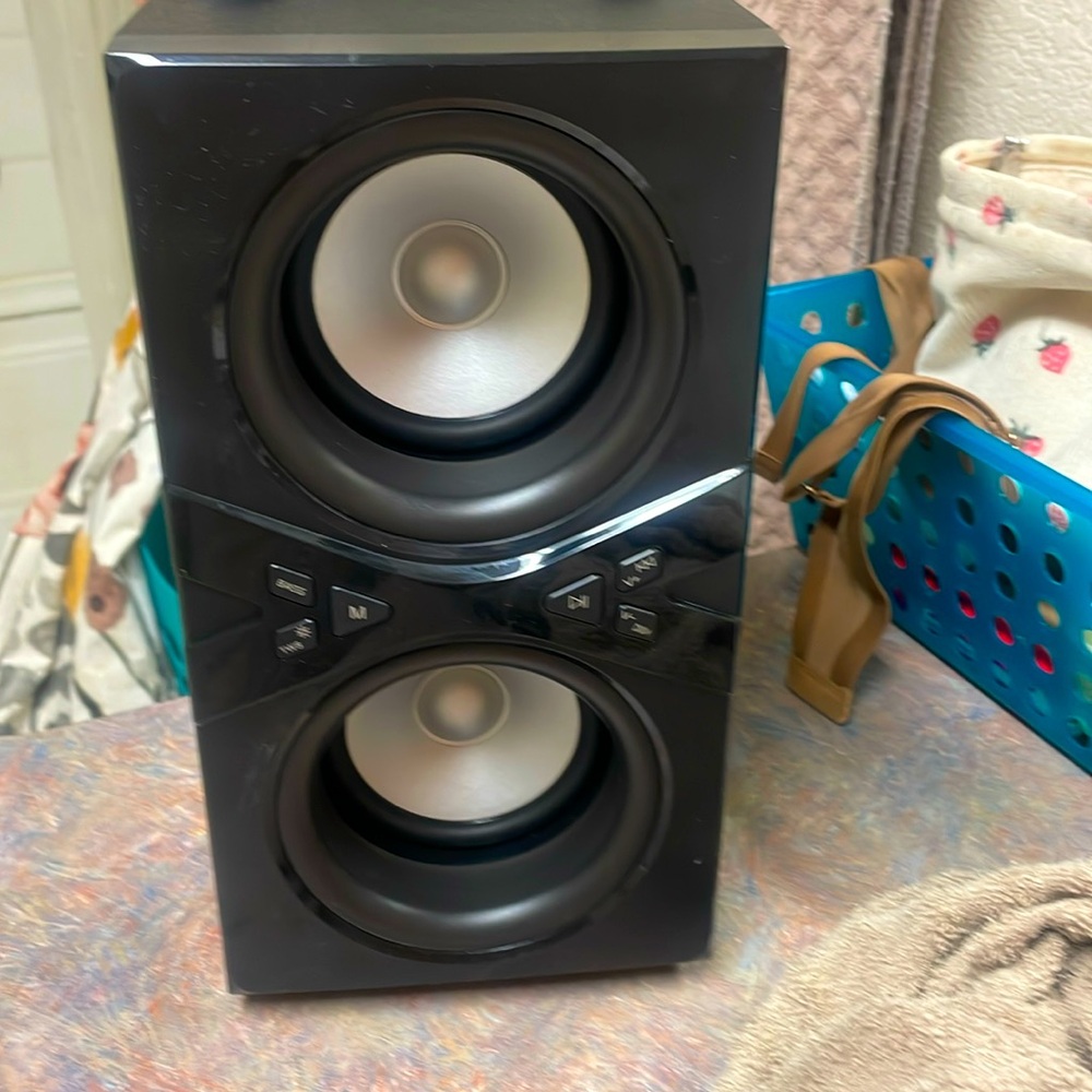 Black Portable Speaker with Dual-Driver Design
